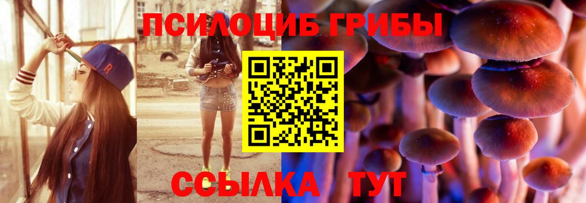 Галлюциногенные грибы GOLDEN TEACHER Междуреченск